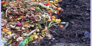 Campaña de concienciación ciudadana para el uso del contenedor de orgánica