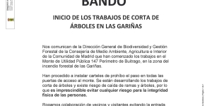 Bando: inicio de los trabajos de corta de árboles en Las Gariñas
