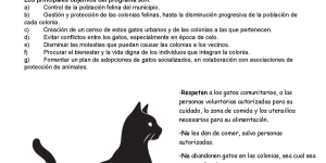 Protocolo de gestión de las Colonias Felinas